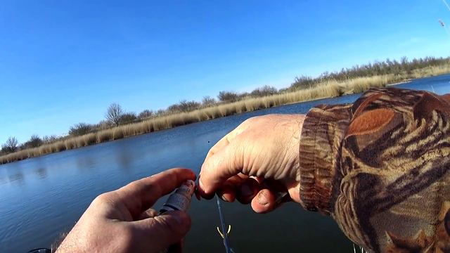 Февральский карась на поплавок. Ловля карася по холодной воде смотреть онлайн