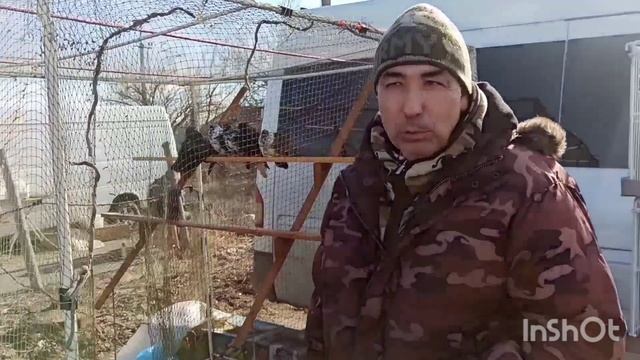 Ярмарка голубей, декоративных птиц и животных г. Бородянка Киевская область 20.02.2022 года.Часть2.