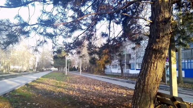 Дело было вечером Михайловка Нижнегорский Крым 14 декабря 2022 смотреть онлайн
