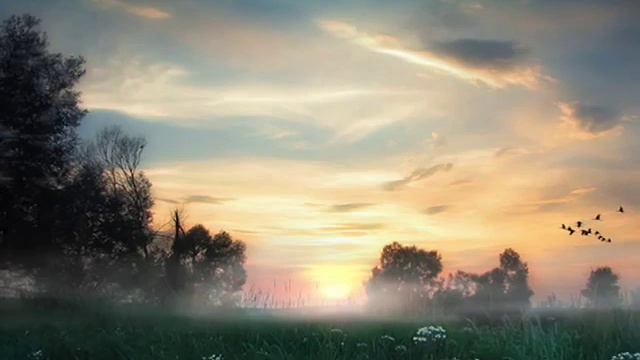 Туман яром, туман долиною   Украинская народная песня