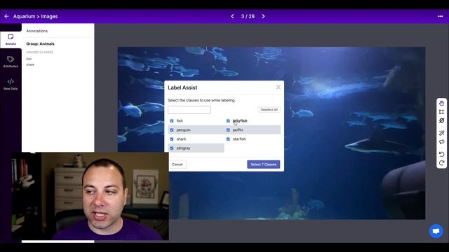 Annotating Videos for Object Detection смотреть онлайн