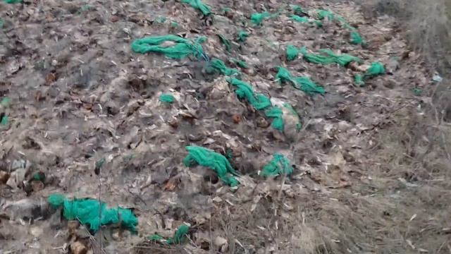 Помойка на берегу Оки... смотреть онлайн