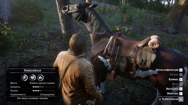 50 особенностей Red Dead Redemption 2. Физика, взаимодействия и действия в игре! смотреть онлайн