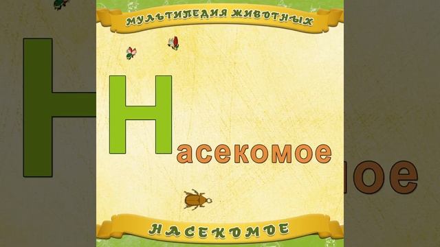 Мультипедия животных (Instagram HD) Насекомое смотреть онлайн