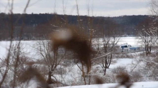 Сравнение Canon EOS 650D и Canon EOS 200D смотреть онлайн