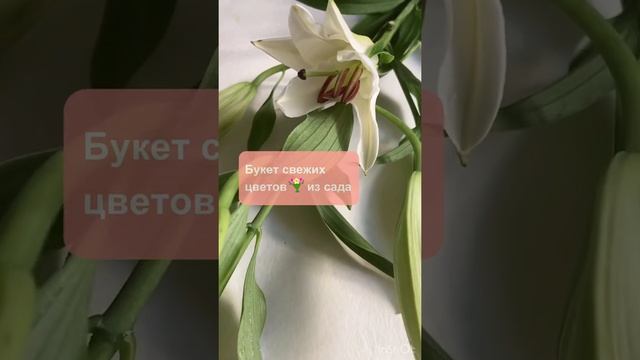 Armand Basi In Red — аромат летнего утра в саду смотреть онлайн