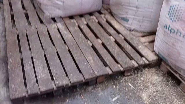 Долгожданный ЗЕРНО-ОТХОД Кукурузы поросятам!!!! смотреть онлайн