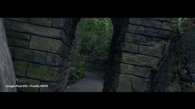 Freefly MOVI - лучший стабилизатор для смартфона | Обзор из Нью Йорка