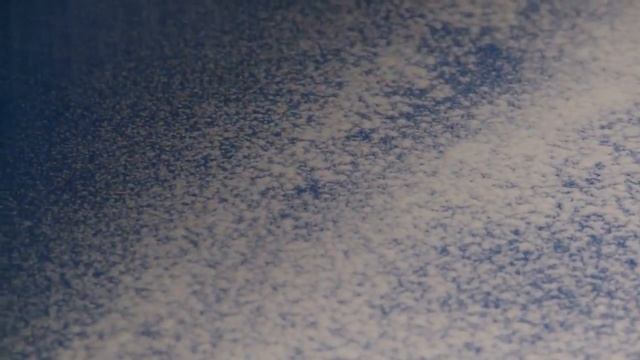 Линия автоматического формования печенья «Венское» ЛВП смотреть онлайн