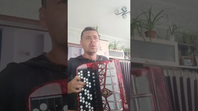 Король и Шут -Верная жена 🤘🤘🤘 на баяне 🪗 #cover #корольишут #топ смотреть онлайн