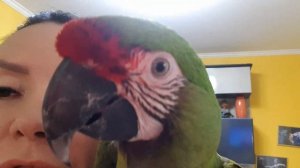 Наше утро в курятнике!