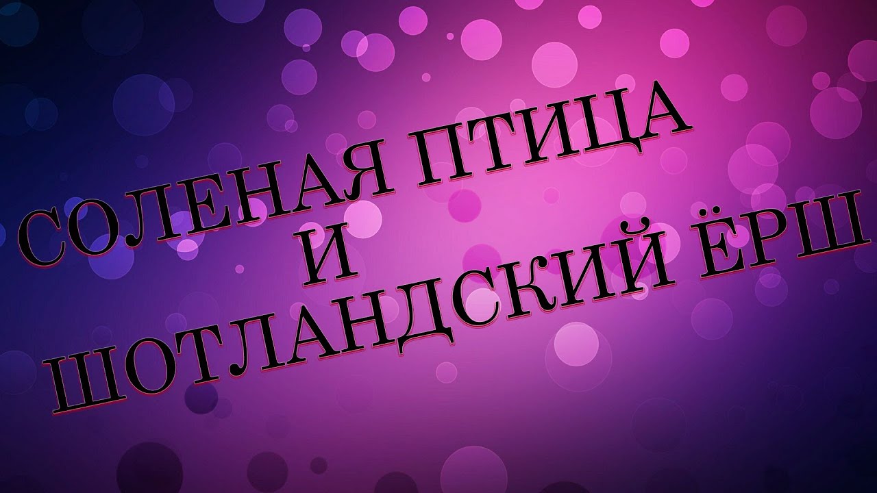 Соленая птица(Salted Bird) и Шотландский ёрш(Джессика)
