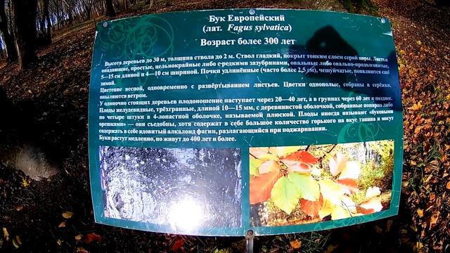 ОСЕННЯЯ ПРОГУЛКА В ЯНТАРНОМ PALMNICKEN 2017 Cъёмка EKEN H9R Action camera смотреть онлайн