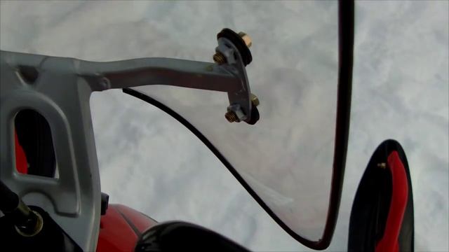 Irbis Dingo T150