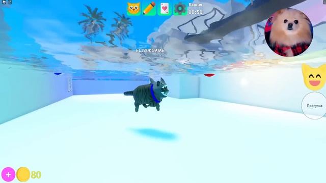 ВЕЧЕРИНКА КОТИКОВ В РОБЛОКС ! КОТИКИ ТАНЦУЮТ НА БАШНЕ КОТИКОВ В ROBLOX | Kitten Game смотреть онлайн