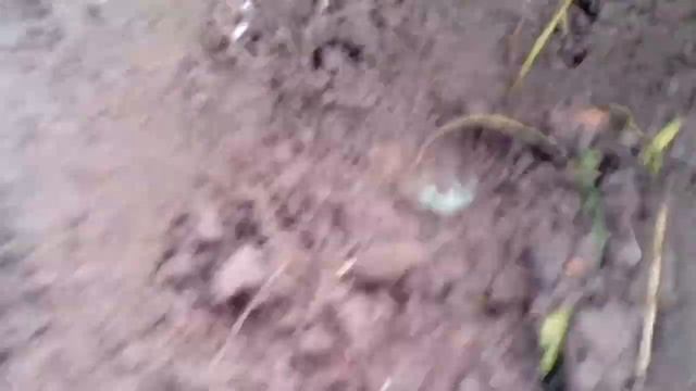 Терка 705 Закрывает сезон копа. смотреть онлайн