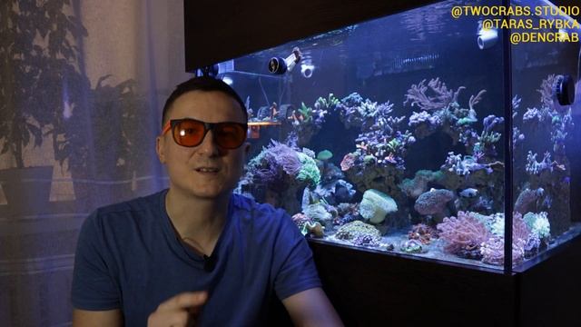 vlog #16 | морской аквариум 300 л | кораллы в морском аквариуме | содержание морского аквариума смотреть онлайн