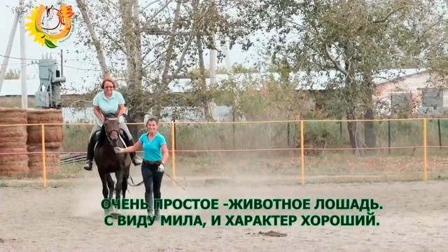 Экскурсия для детей и родителей - "Просто лошадь" смотреть онлайн