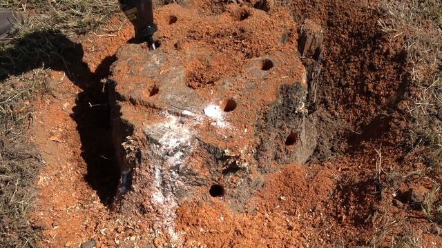 How to Remove a Tree Stump - Using Spectracide Granules смотреть онлайн