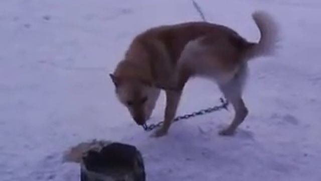 Видео0023 смотреть онлайн