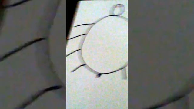 How to draw: a tarantula смотреть онлайн