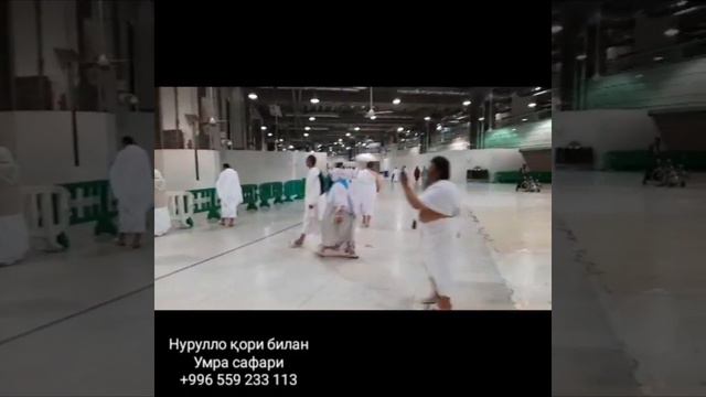 Нурулло Умра сафари 12.12.2019 смотреть онлайн