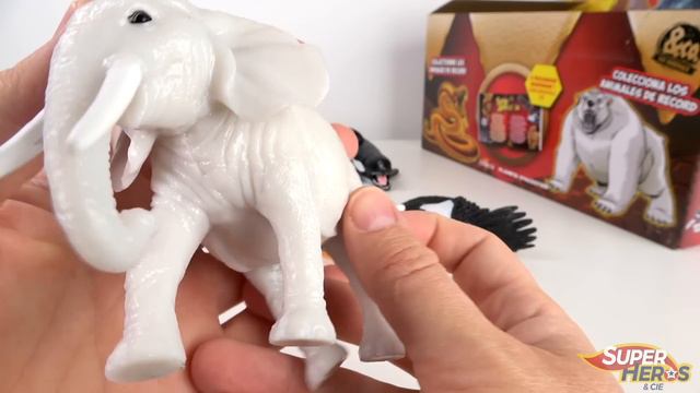 SUPER ANIMALS & CO Le Meilleur De La Collection! Boite Complète Pochettes Altaya Review