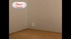 Ультразвуковой отпугиватель тараканов какой лучше отзывы