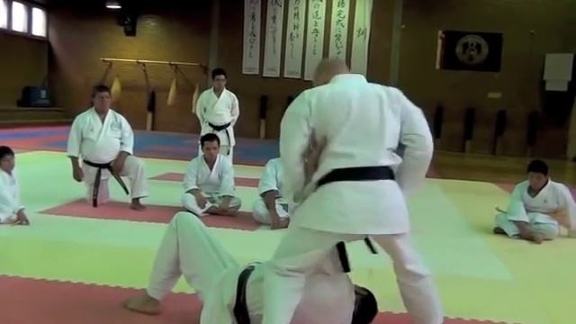 JEAN MARC LOPEZ KASE HA SHOTOKAN RYU KARATE DO BOGOTA COLOMBIA NOV 2011 DIA1.m4v смотреть онлайн