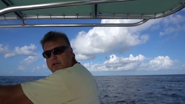 2 CRAZY Sailfish on at Once!! Offshore Deep Sea Fishing! смотреть онлайн