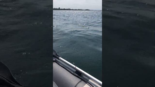 Рыбалка на Судака. Белое Озеро, Башкирия. 23.06.19. смотреть онлайн
