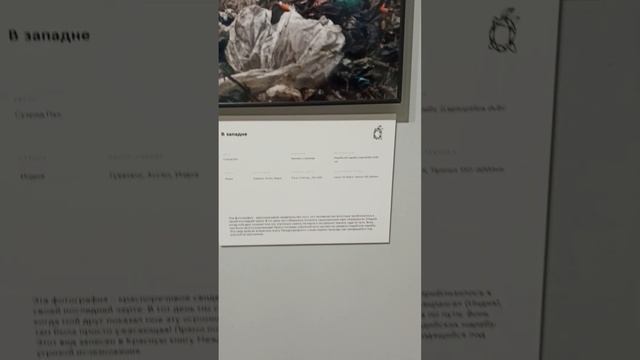 выставка дикой природы Золотая черепаха. ЦДХ. Москва.Часть 2  (28 окт 2023)