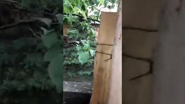 Московские дачи обвешаны гранатами смотреть онлайн
