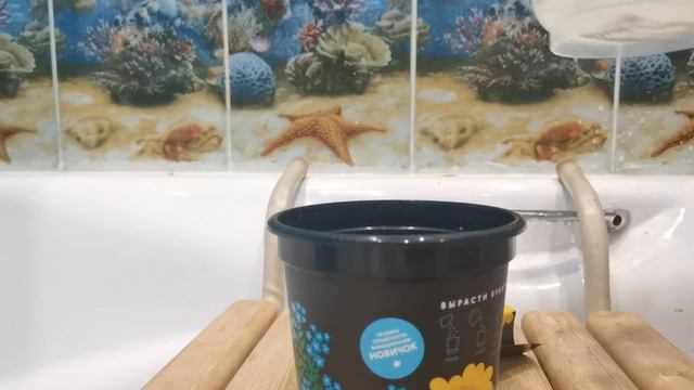 посадка незабудок смотреть онлайн