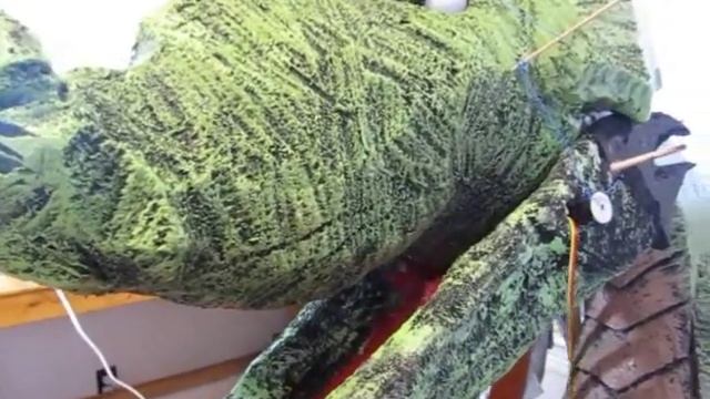 Automating The Foam Dragon