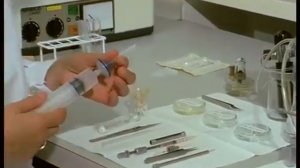 Искусственное осеменение пчелиных маток.