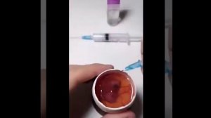 Выращивание цыплёнка в открытом яйце