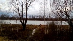 Черничный хутор. Дом у озера. Размышления о комментариях.