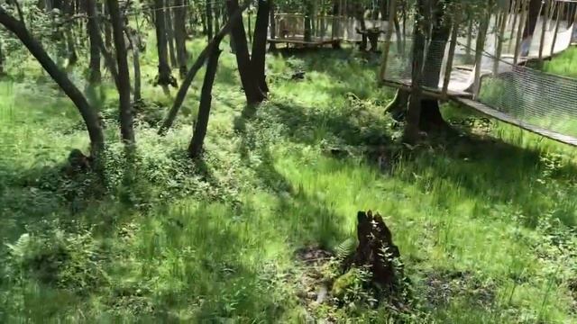 Коробчицы гродно | Каробчыцы гродна смотреть онлайн