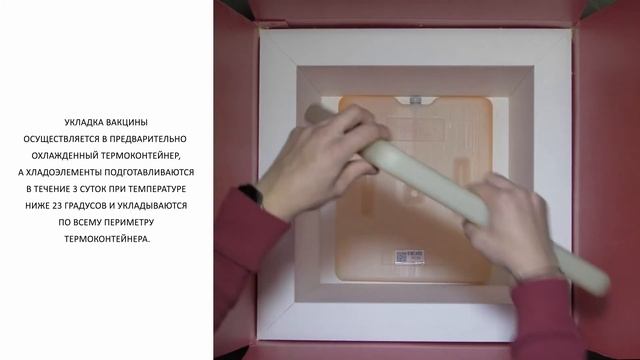 Инструкция по транспортировке и хранению вакцины "Гам-КОВИД-Вак" от компании BIOCARD смотреть онлайн