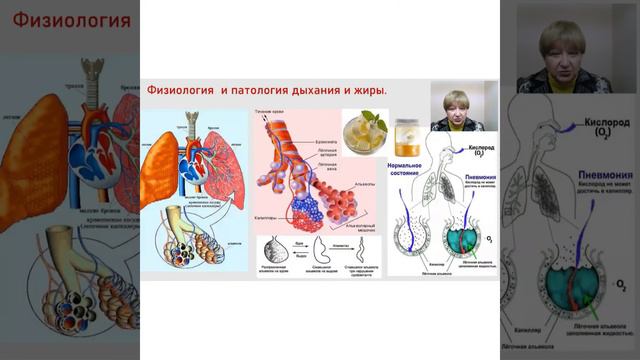 ОМЕГА - 3 ЖИДКОЕ ЗОЛОТО, ЗНАЧЕНИЕ ДЛЯ ОРГАНИЗМА смотреть онлайн