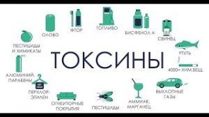 КАК ВЫВЕСТИ ТОКСИНЫ ИЗ ОРГАНИЗМА