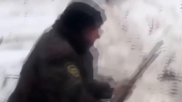 САМЫЕ ОПАСНЫЕ ЖИВОТНЫЕ РОССИИ смотреть онлайн