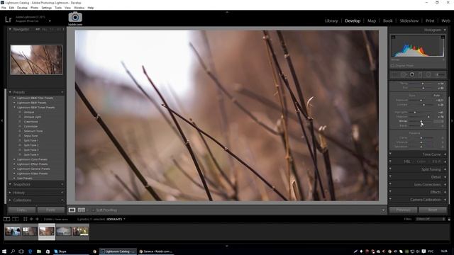 Обрабатываем видео в Lightroom 6/CC I Школа Adobe