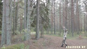 Безопасно и просто спилить сук на дереве