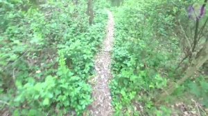 КОРОЧЕ ГОВОРЯ, ЧУТЬ НЕ ПОГИБ В ЛЕСУ 2. Говорящая собака ЛОКИ БОБО.