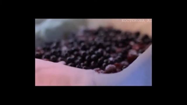 Домашний шеф-повар для всех 