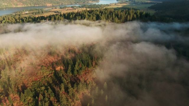 Славянская Этническая музыка - Покой - Души Созерцание