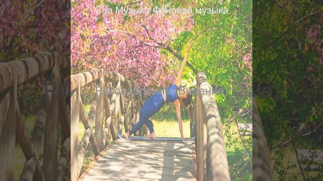 Впечатление (Санаторно-курортное лечение)