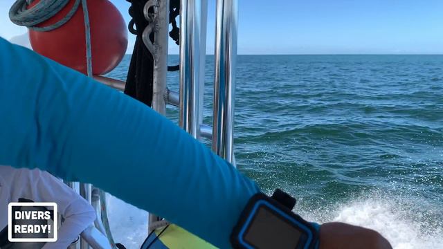 Shearwater Peregrine: The Best Dive Computer Of 2020? - The Divers Ready Review